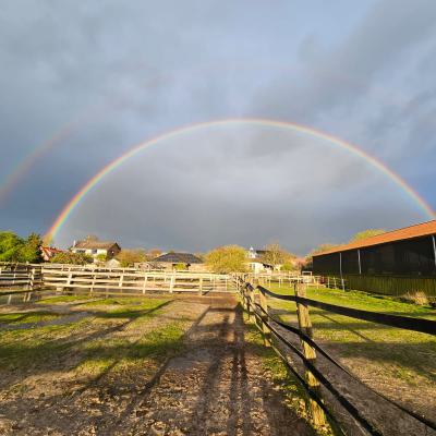 Der Regenbogen