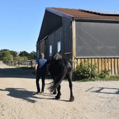 An der großen Reithalle